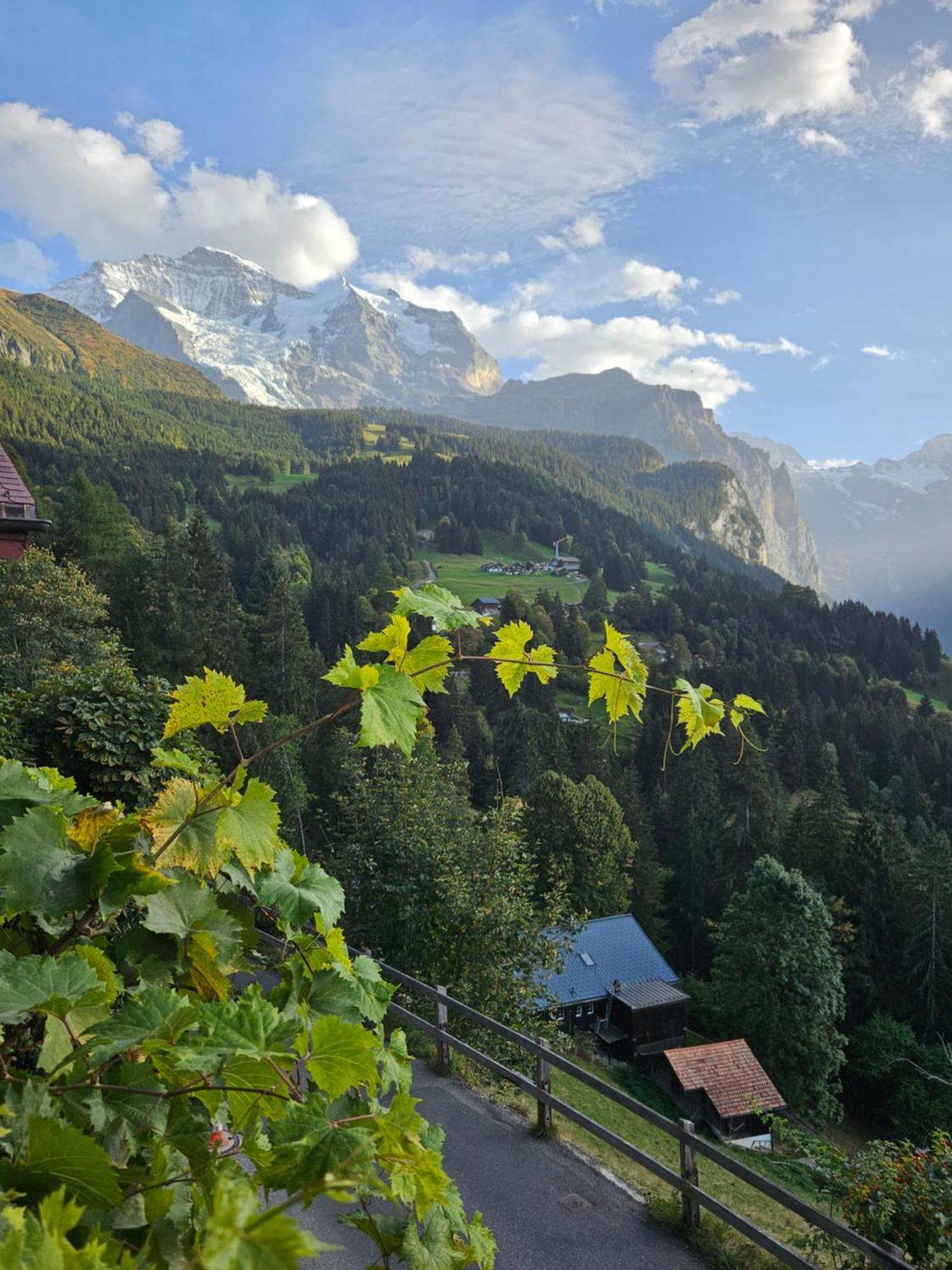 Chalet Aargovia South Βένγκεν Εξωτερικό φωτογραφία